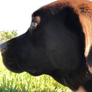 Meet your Posher, Gaby